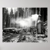 LOGGEN MET STEAM DONKEY c. 1879 Poster (Voorkant)