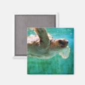 Loggerhead #1 Magnet (Voorkant / Achterkant)