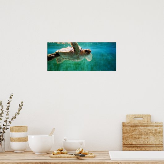 Loggerhead #1 Poster (Keuken)