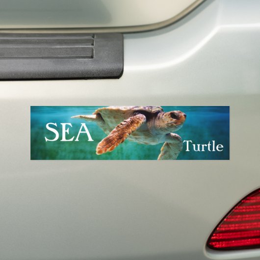 Loggerhead #2 Bumpersticker (Op auto)