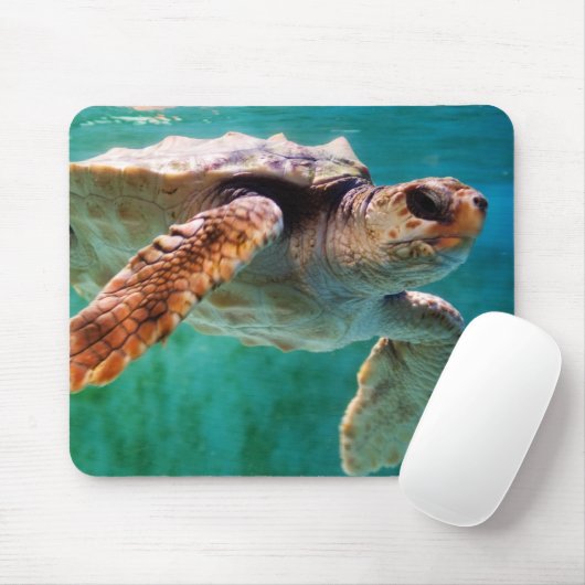 Loggerhead #2 Mousepad Muismat (Met muis)