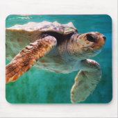 Loggerhead #2 Mousepad Muismat (Voorkant)
