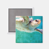 Loggerhead #3 Magnet (Voorkant / Achterkant)