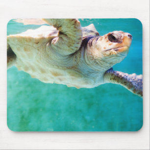 Loggerhead #3 Mousepad Muismat