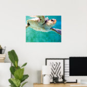Loggerhead #3 Poster (Thuiskantoor)