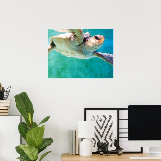 Loggerhead #3 Poster (Thuiskantoor)
