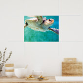 Loggerhead #3 Poster (Keuken)