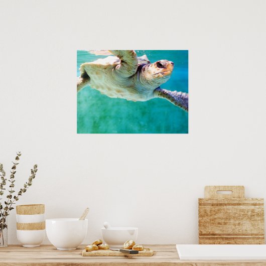 Loggerhead #3 Poster (Keuken)