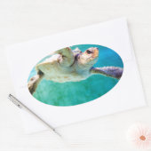 Loggerhead #3 Sticker (Envelop)