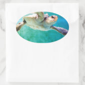 Loggerhead #3 Sticker (Tas)