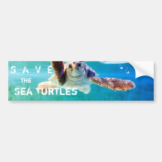 Loggerhead #4 Bumpersticker (Voorkant)