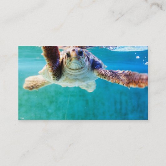 Loggerhead #4 Mini Print Visitekaartje (Voorkant)