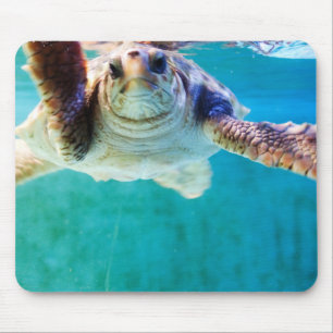 Loggerhead #4 Mousepad Muismat