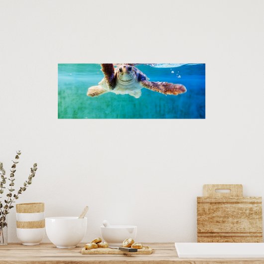 Loggerhead #4 Poster (Keuken)