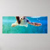 Loggerhead #4 Poster (Voorkant)