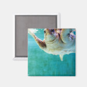 Loggerhead #5 Magnet (Voorkant / Achterkant)