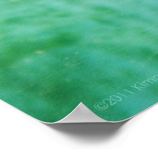 Loggerhead #5 Poster (Hoek)