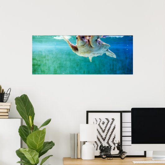 Loggerhead #5 Poster (Thuiskantoor)