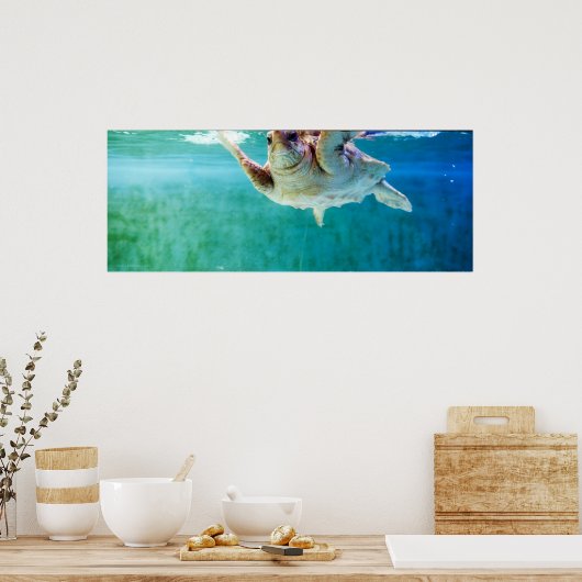 Loggerhead #5 Poster (Keuken)