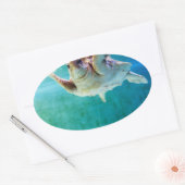 Loggerhead #5 Sticker (Envelop)