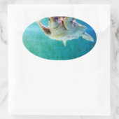 Loggerhead #5 Sticker (Tas)