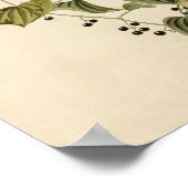 Loggerhead Poster afdrukken (Hoek)