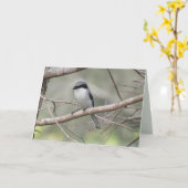 Loggerhead Shrike - Backyard Birds Wenskaart Kaart (Gele Bloem)