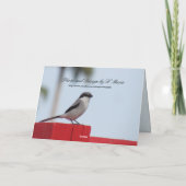 Loggerhead Shrike Bird Wenskaart Kaart (Achterkant)
