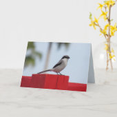 Loggerhead Shrike Bird Wenskaart Kaart (Gele Bloem)