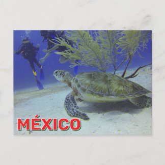 Loggerhead Turtle In Mexico Briefkaart