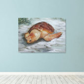Loggerhead Turtle - St George Island Canvas Afdruk (Insitu (Houten vloer))
