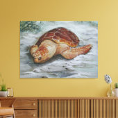 Loggerhead Turtle - St George Island Canvas Afdruk (Insitu (Woonkamer))