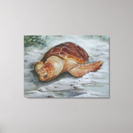 Loggerhead Turtle - St George Island Canvas Afdruk