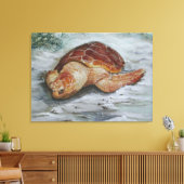 Loggerhead Turtle - St George Island Canvas Afdruk (Insitu (Woonkamer))