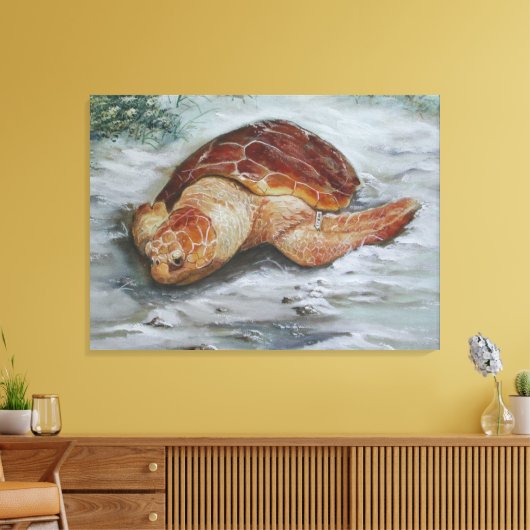 Loggerhead Turtle - St George Island Canvas Afdruk (Insitu (Woonkamer))