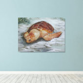 Loggerhead Turtle - St George Island Canvas Afdruk (Insitu (Houten vloer))