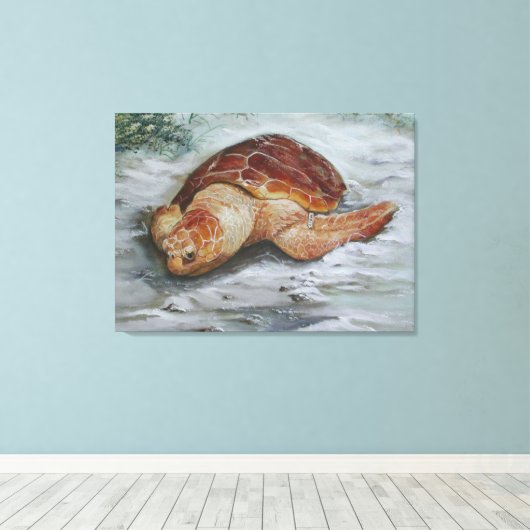 Loggerhead Turtle - St George Island Canvas Afdruk (Insitu (Houten vloer))