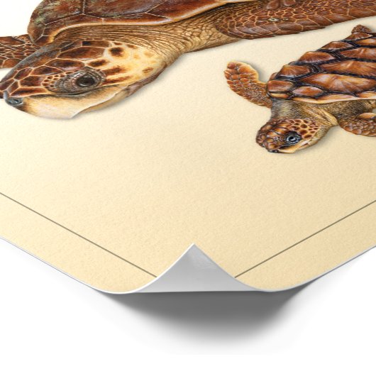 Loggerhead Zee Turtle Adult en Juvenile Print (Hoek)