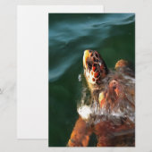 Loggerhead Zee Turtle Artistic Portret Briefpapier (Voorkant / Achterkant)