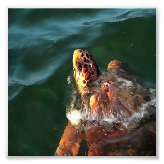 Loggerhead Zee Turtle Artistic Portret Foto Afdruk (Voorkant)