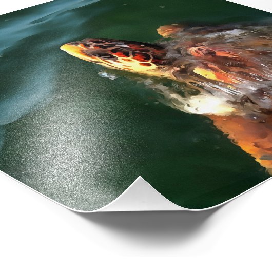 Loggerhead Zee Turtle Artistic Portret Foto Afdruk (Hoek)