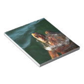 Loggerhead Zee Turtle Artistic Portret Notitieblok (Schuin)