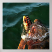 Loggerhead Zee Turtle Artistic Portret Poster (Voorkant)