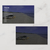 Loggerhead Zee Turtle at Archie Carr National Wild Visitekaartje (Voorkant / Achterkant)