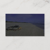 Loggerhead Zee Turtle at Archie Carr National Wild Visitekaartje (Achterkant)