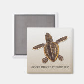 Loggerhead Zee Turtle Hatchling Magnet (Voorkant / Achterkant)