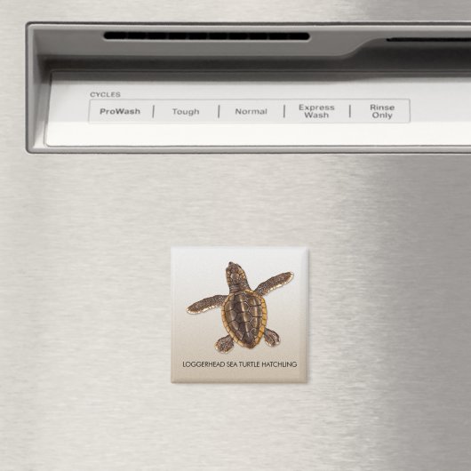Loggerhead Zee Turtle Hatchling Magnet (Insitu (Vaatwasser))