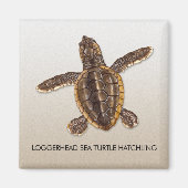 Loggerhead Zee Turtle Hatchling Magnet (Voorkant)