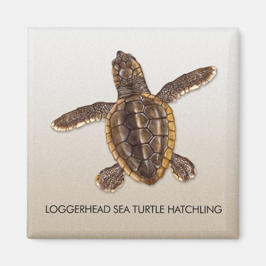 Loggerhead Zee Turtle Hatchling Magnet (Voorkant)