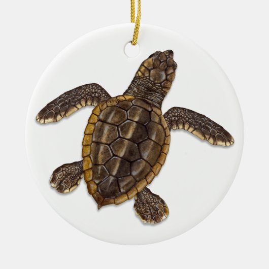 Loggerhead Zee Turtle Hatchling Ornament (Voorkant)